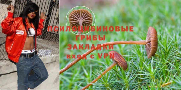 ПСИЛОЦИБИНОВЫЕ ГРИБЫ Алексеевка