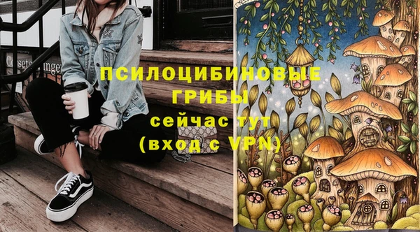 mdpv Алзамай