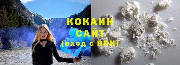 шишки Алексин
