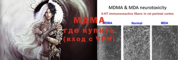 ПСИЛОЦИБИНОВЫЕ ГРИБЫ Алексеевка