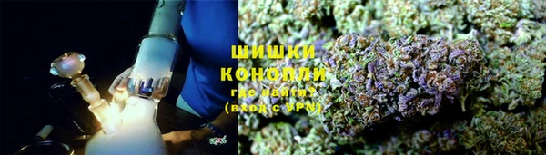 шишки Алексин
